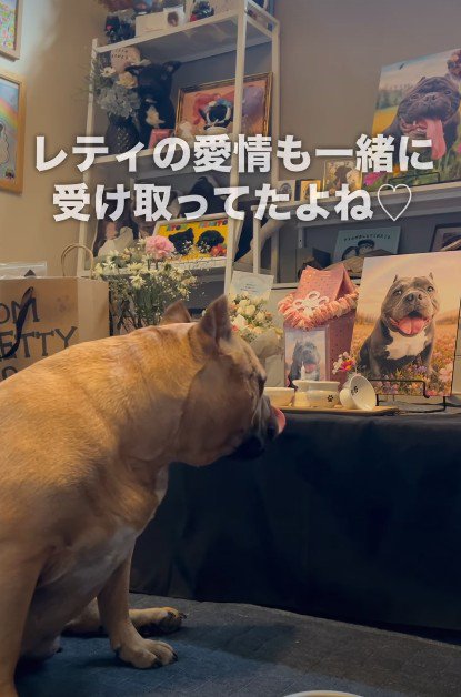 「元気に過ごしてるよ」