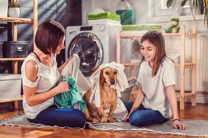 家族と犬