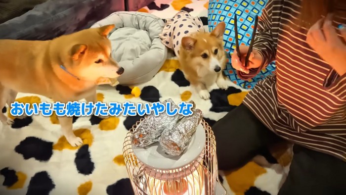 焼き芋ができました！