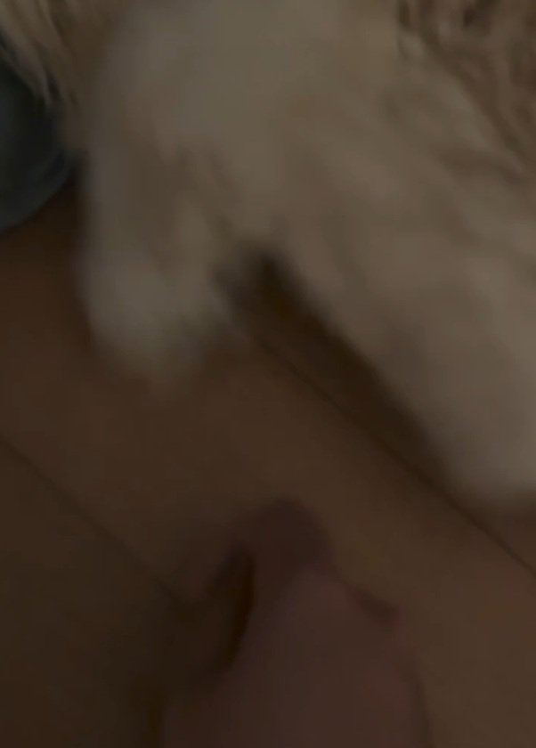 手を振りほどくかまぼこちゃん