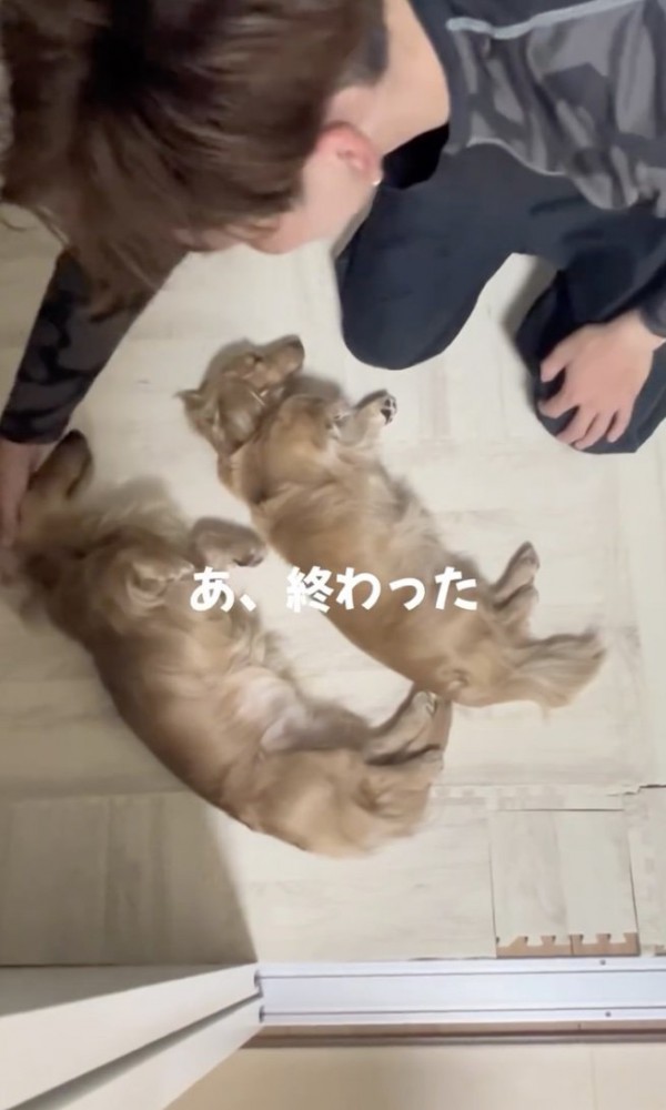 やっと…！