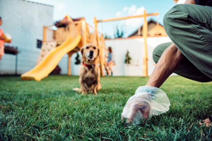 犬のウンチを取る飼い主の手