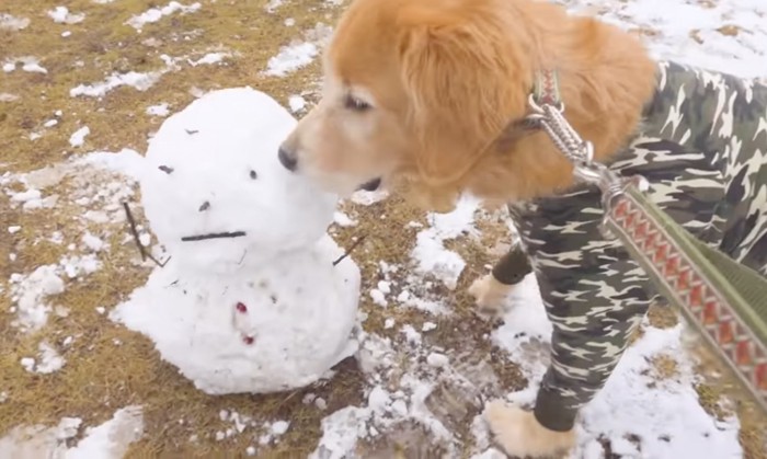 雪だるま大好き