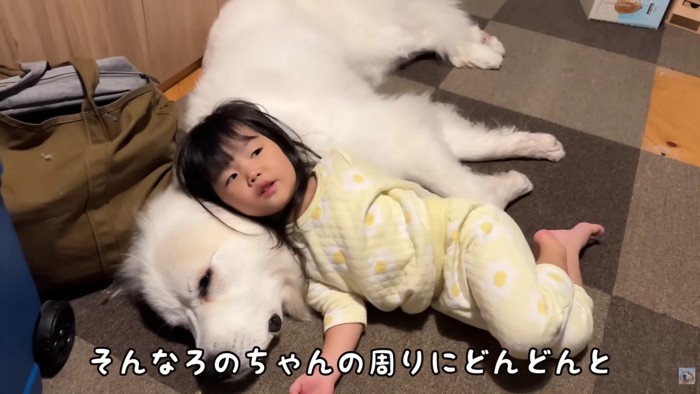 シュシュちゃんに甘えていると…