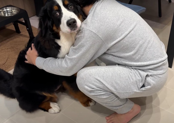 犬を抱きしめる人