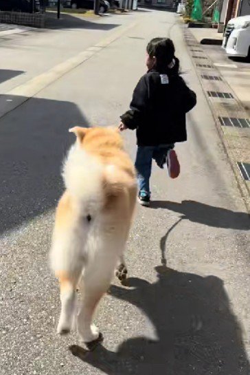 普段はモフモフだよ