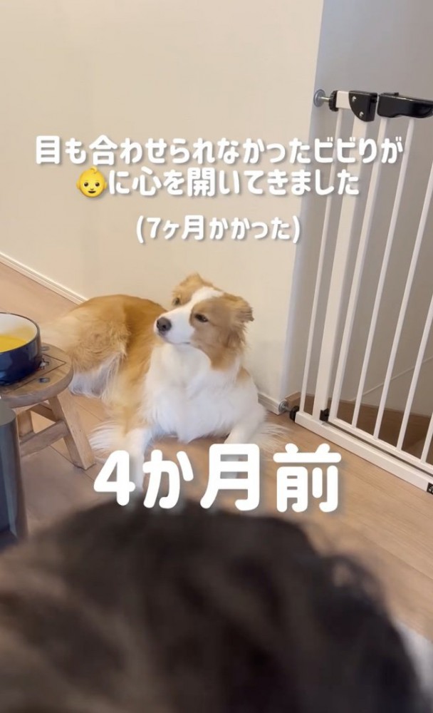 「…」