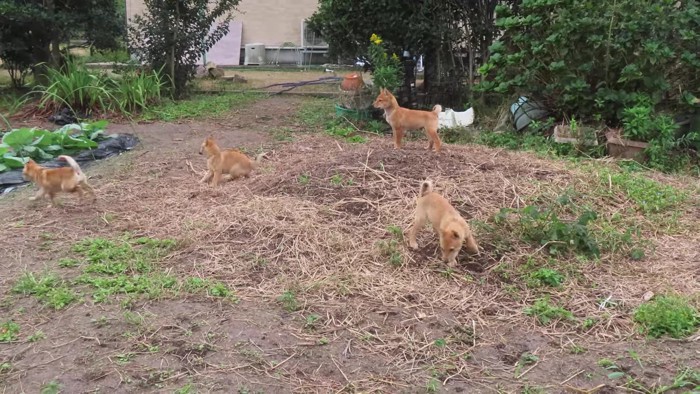 わらわらと集まった先にいたのは…