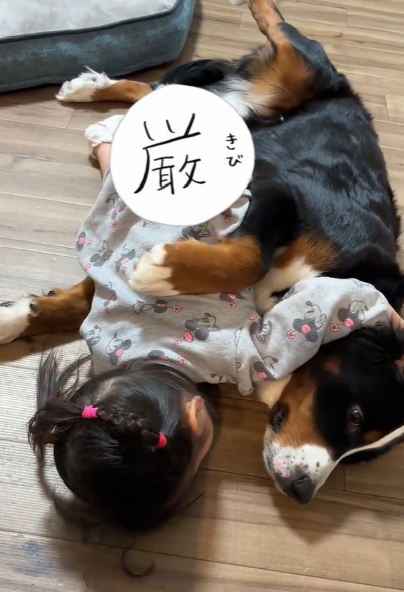 ベルちゃんの名前を呼ぶ娘さん