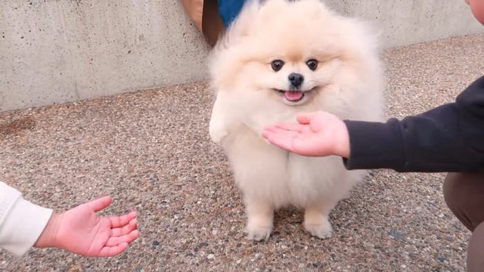 モチちゃんと子どもたち3