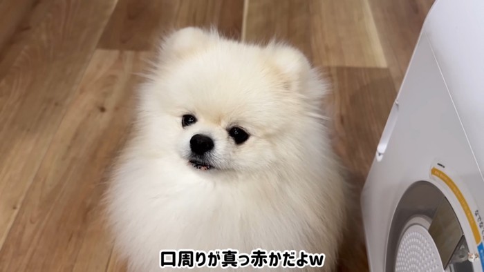 お口がイチゴ色に（笑）