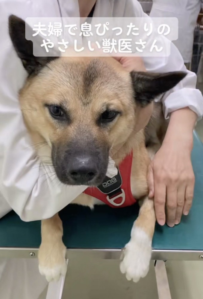 華麗なる連携プレー！