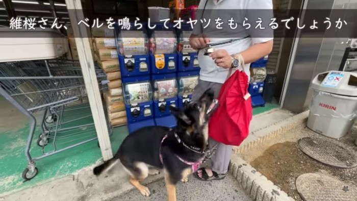 ベルに興味津々の維桜ちゃん