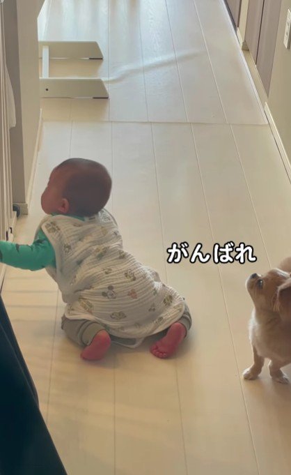 「がんばれ！」