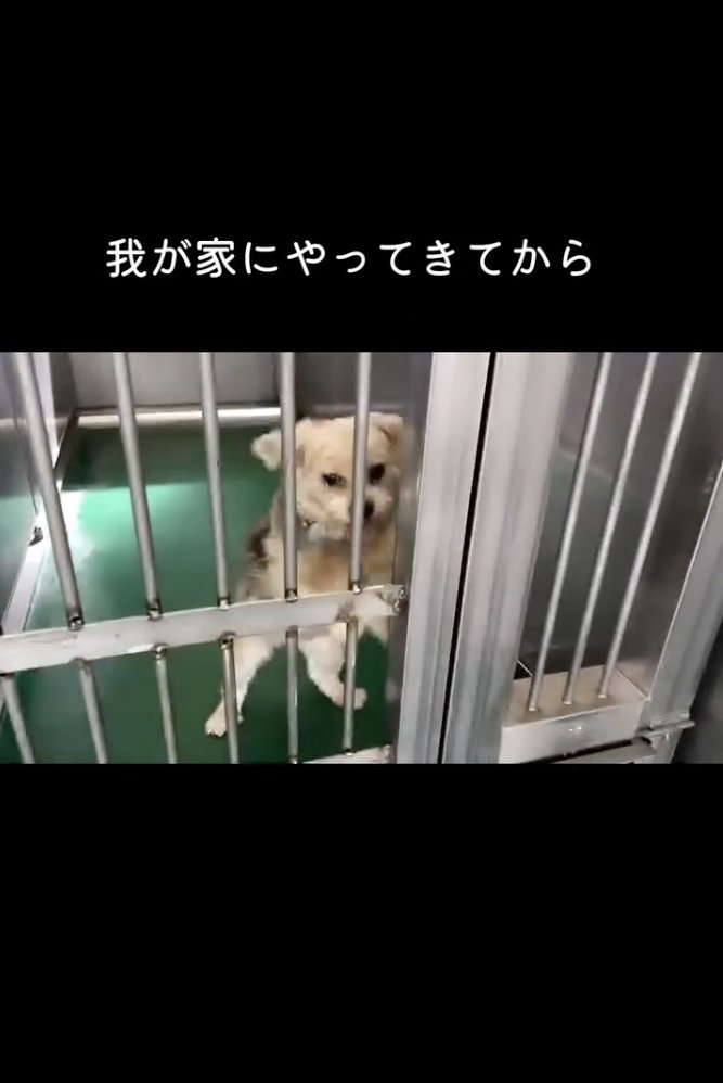 悲壮感あふれてる