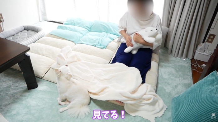 ヤキモチを妬くコハクくん2