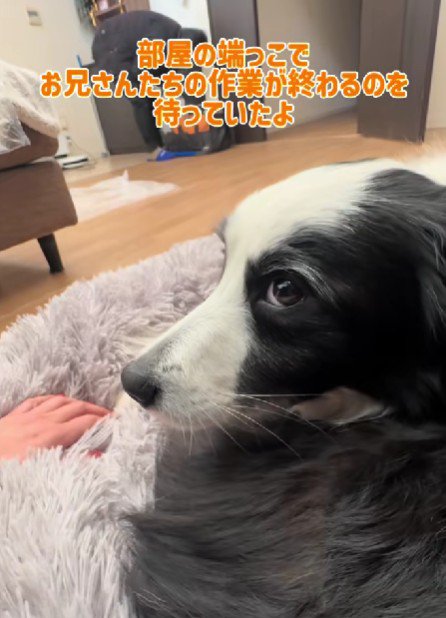 「まだかな…？」