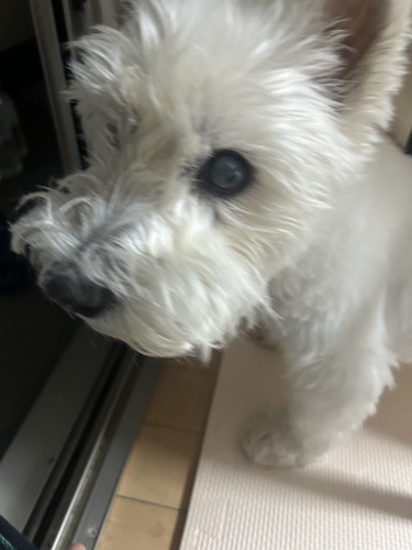 ちーちゃん