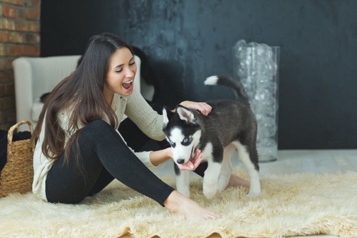 女性と遊ぶ犬