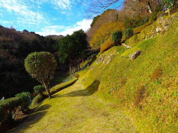 芝生が手入れされたドッグラン