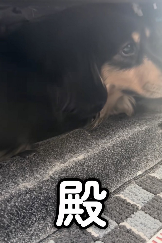「何も聞こえません」