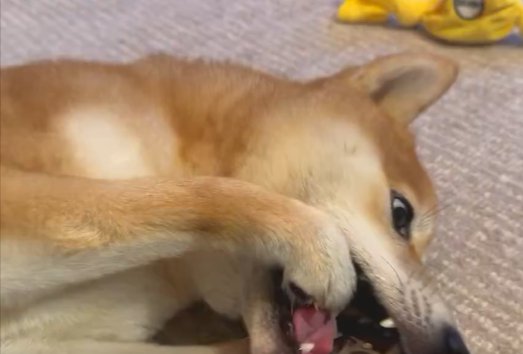執拗に