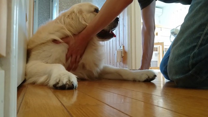 体を押してみてもダメ