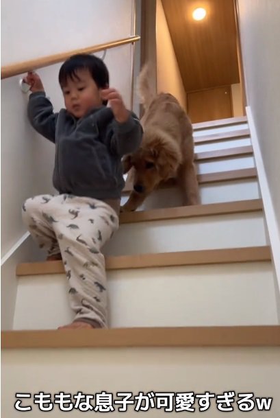 くっついて降りるころもちゃん