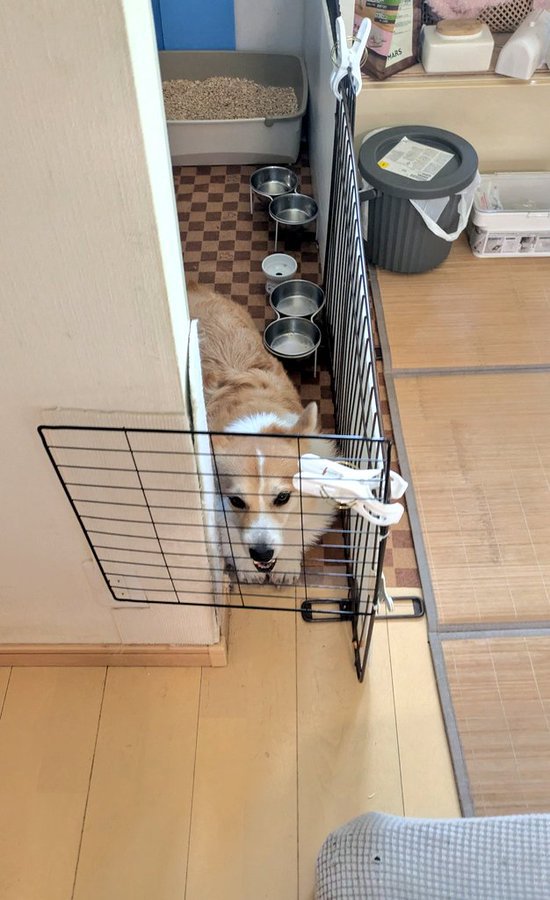 動けない