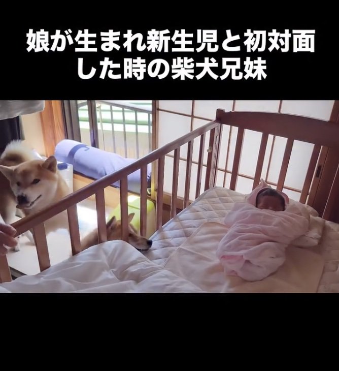 ソワソワ…