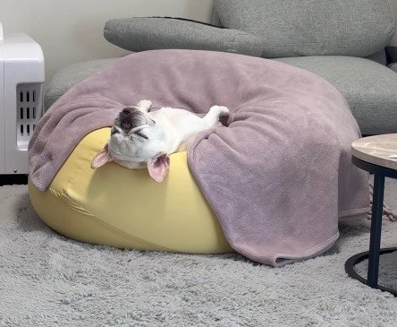ぐっすり寝てる!!