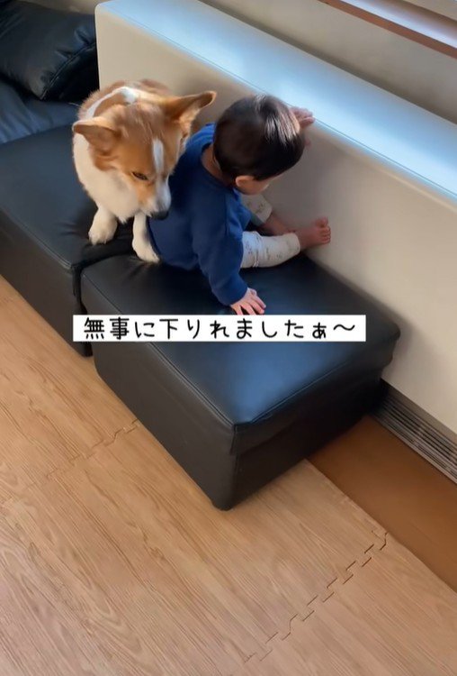 男の子が段差を降りる時のサクくん9