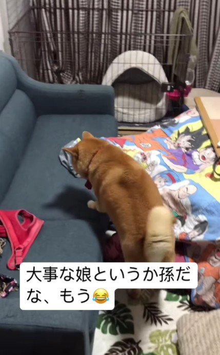 ママを避けて…