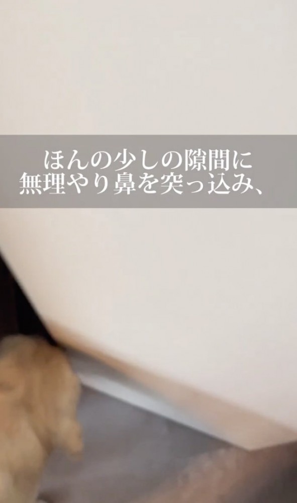 グイッ