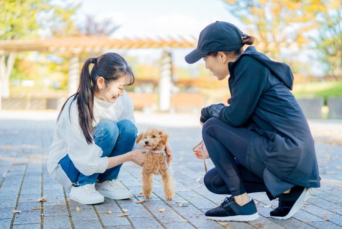 散歩中の犬とふれ合う女性