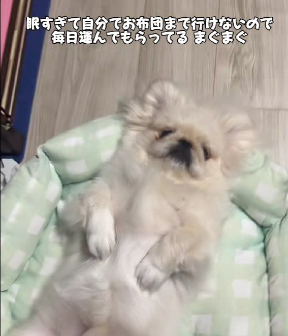 「おやすみなさい…」
