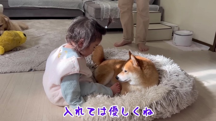 どうしても入りたい