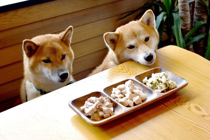 柴犬と食材