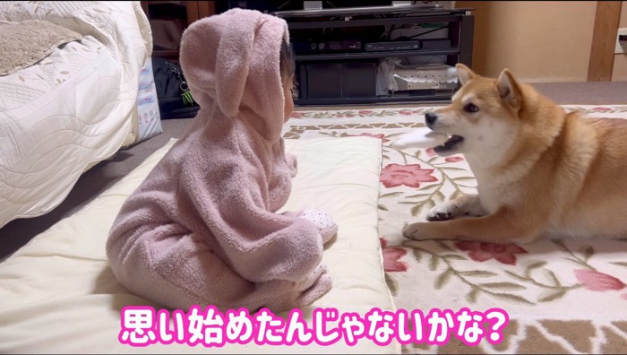 ぬいぐるみを咥えて、赤ちゃんの前に伏せる犬