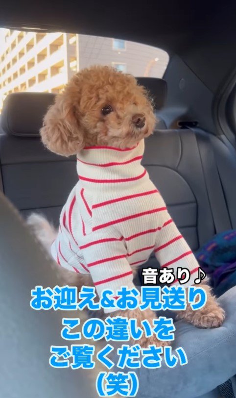 ノアくんのお迎え＆お見送り