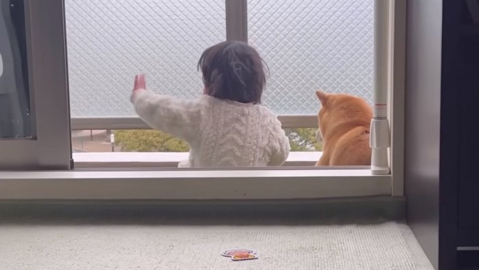 手を振るひよりちゃん