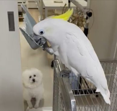いつでも…