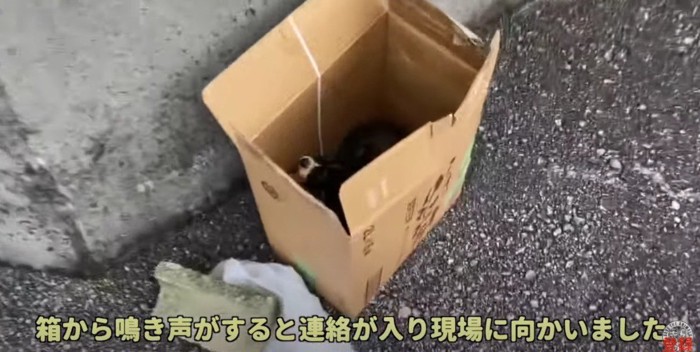 段ボール箱