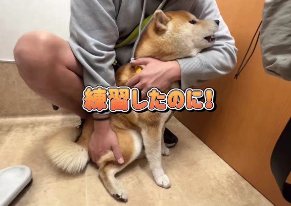 イメージと違った!?