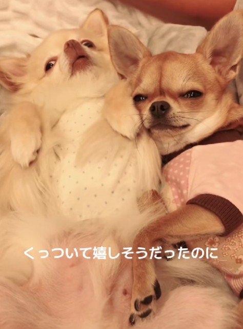 とっても仲良し