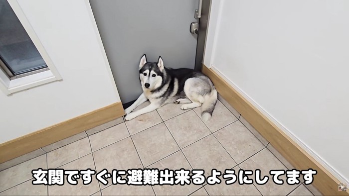 玄関に辿り着いた