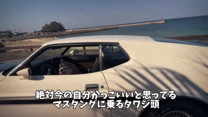 「僕、かっこいいでしょ?」