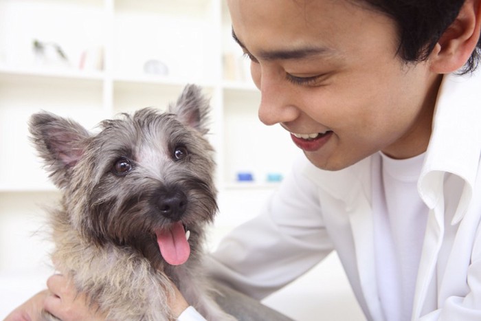 飼い主の帰宅を喜ぶ犬