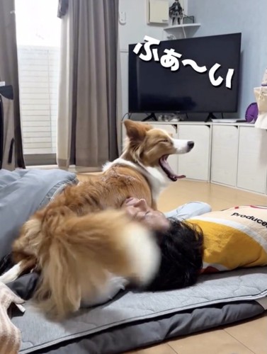 大あくびでママにお返事