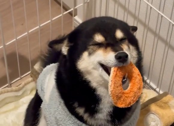 さくらちゃんのアップ
